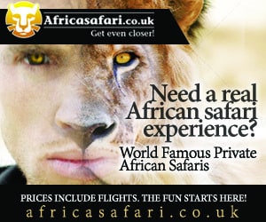 remarketing-ad-example-safari-2