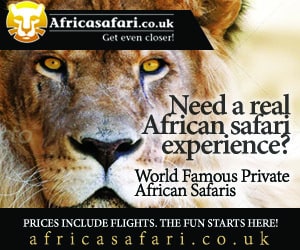remarketing-ad-example-safari-3