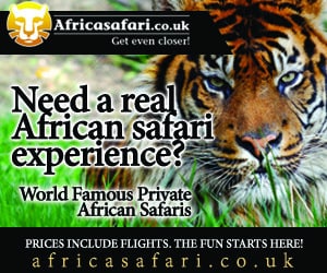 remarketing-ad-example-safari