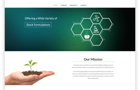 wichita web design example 2